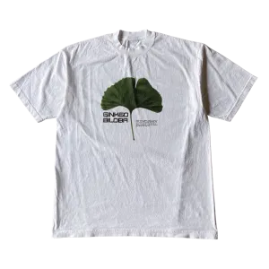 Ginkgo Biloba Tee