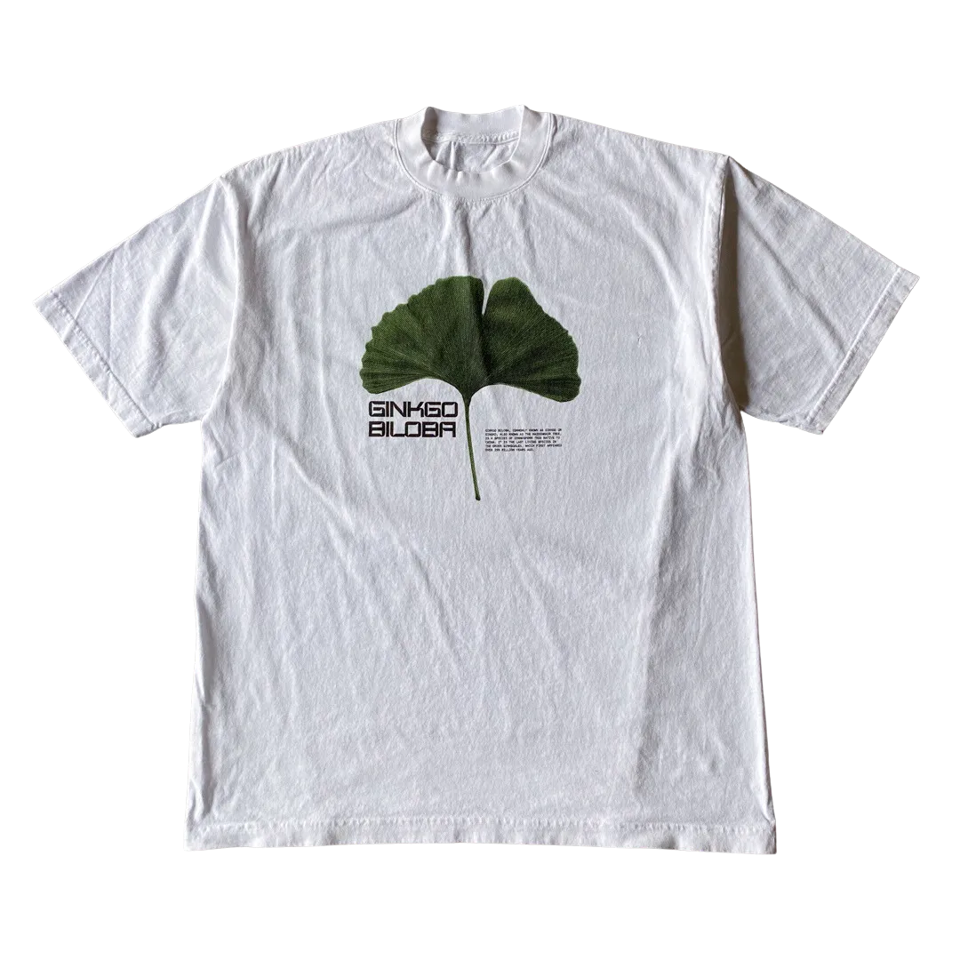 Ginkgo Biloba Tee