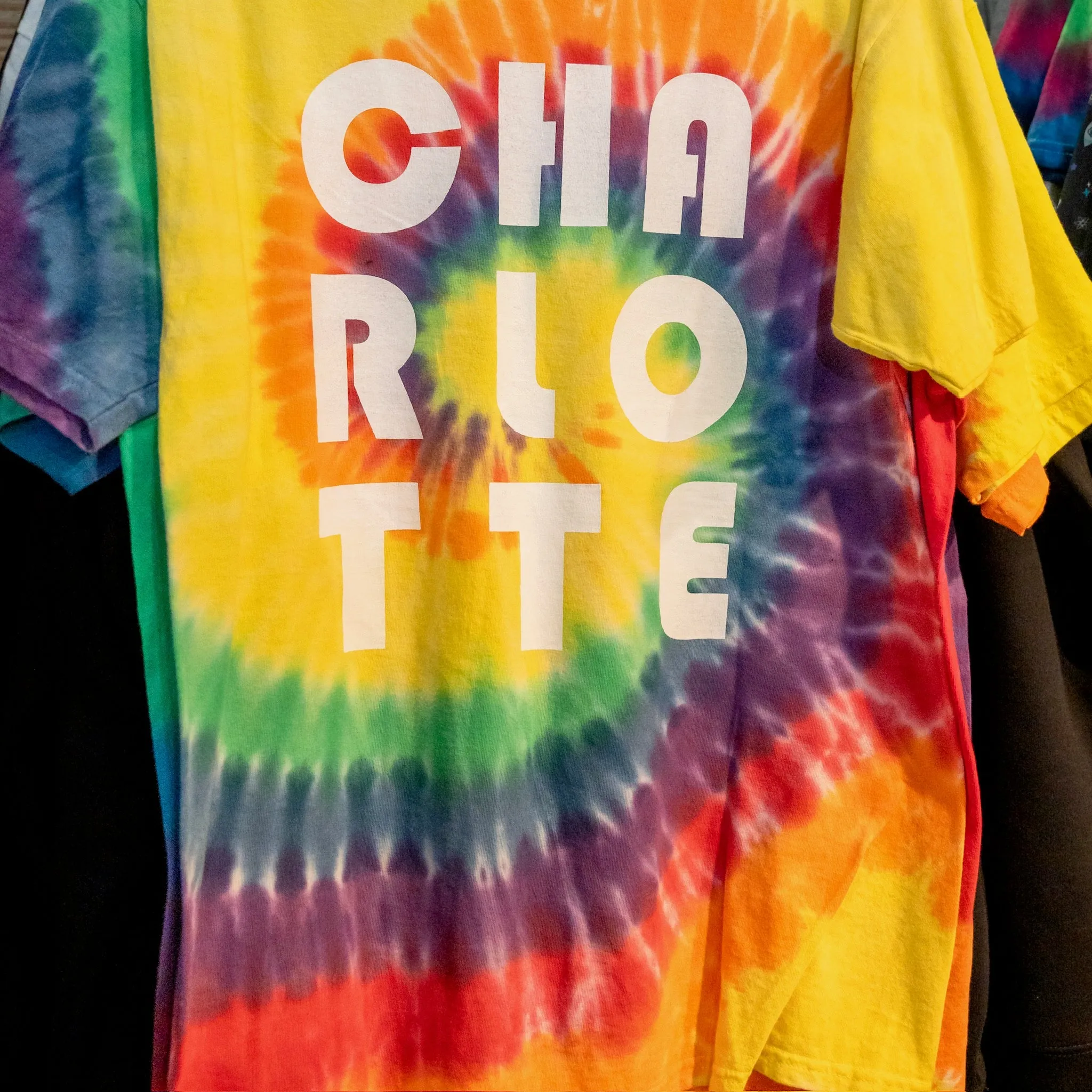 Tie Dye Charlotte T-Shirts by Anna Gelbach