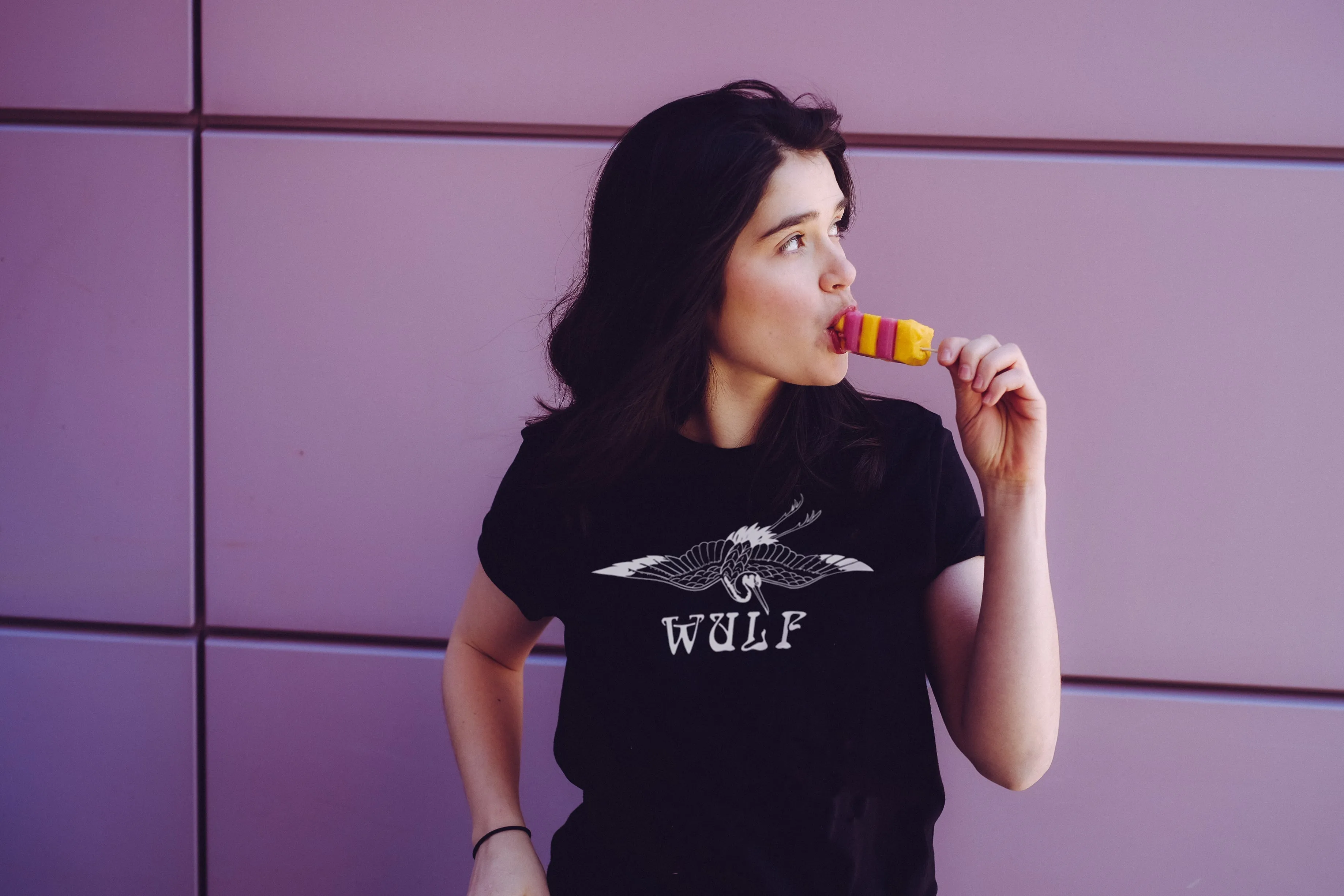 Wulf Crane T-Shirt Black